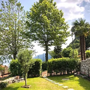 La Dimora Degli Olivi Dependance Casa vacanze
